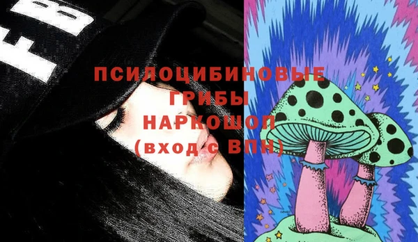 гидра Михайловск