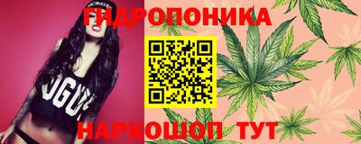 МДПВ Кимры