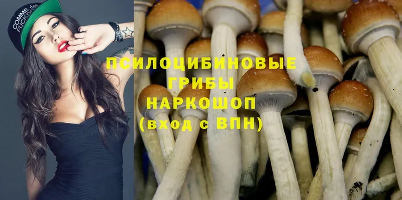 Псилоцибиновые грибы Magic Shrooms  Куйбышев 