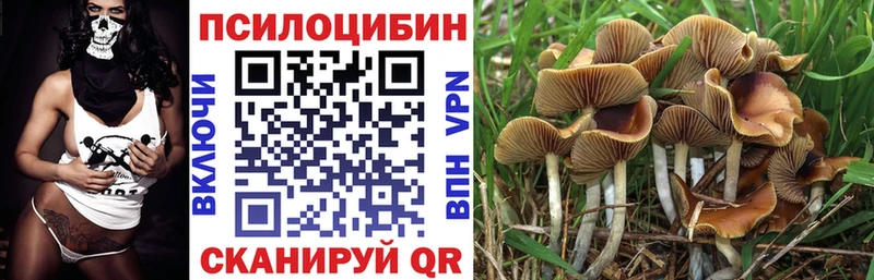 Галлюциногенные грибы мухоморы  Куйбышев 