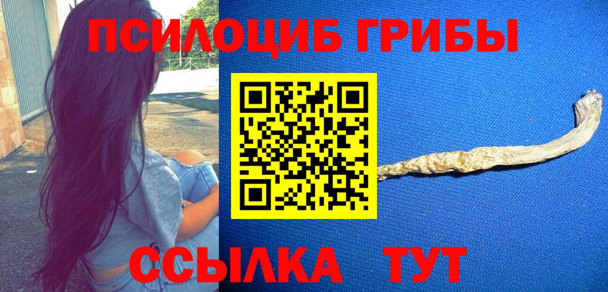 Куйбышев  Псилоцибиновые грибы мухоморы  Вход с VPN 