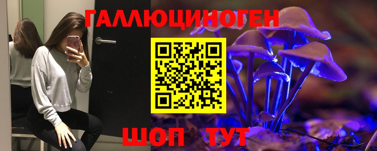 Псилоцибиновые грибы Psilocybine cubensis Куйбышев