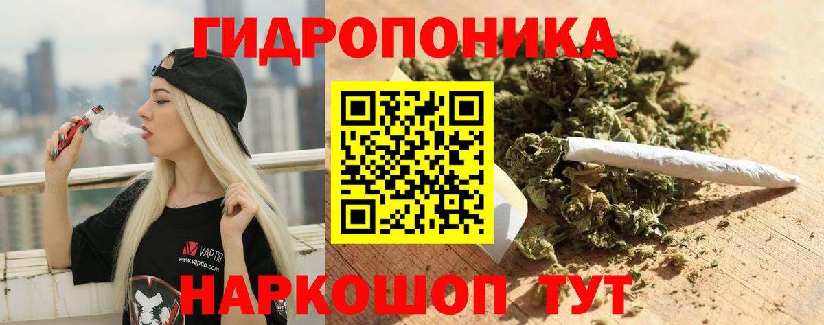 Канабис Amnesia  Шишки марихуана SATIVA & INDICA  Бошки Шишки OG Kush  Вход с VPN  Куйбышев 